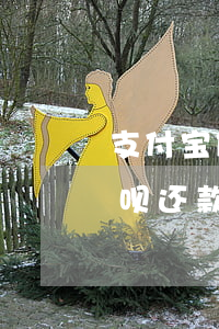 支付宝借呗还款转账限额怎么办-支付宝借呗还款转账限额怎么办理