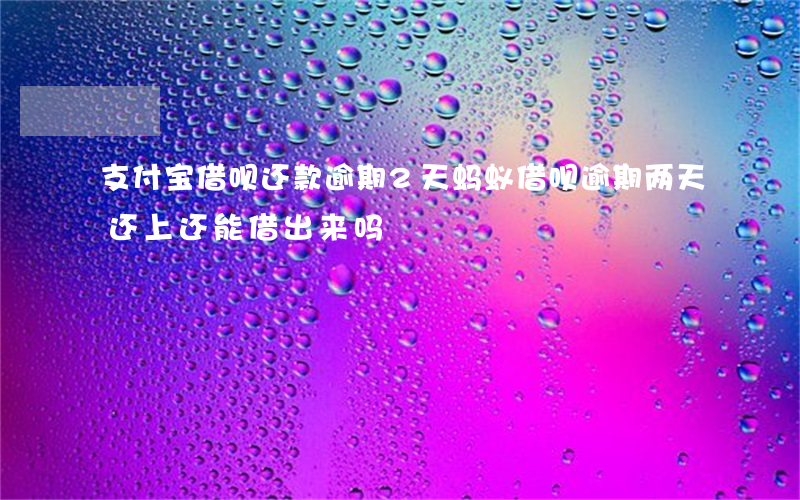 支付宝借呗还款逾期2天(蚂蚁借呗逾期两天还上还能借出来吗?)