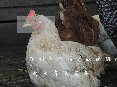 支付宝借呗还款逾期两天(支付宝借呗逾期一两天有没有事?)