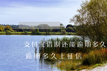 支付宝借呗还能逾期多久-支付宝借呗还能逾期多久上征信