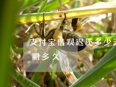 支付宝借呗迟还多少天算逾期(支付宝借呗逾期多久)