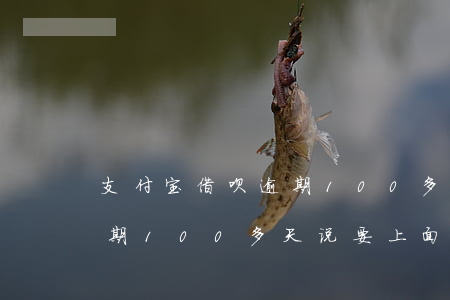 支付宝借呗逾期100多天-支付宝借呗逾期100多天说要上面关闭还款通道