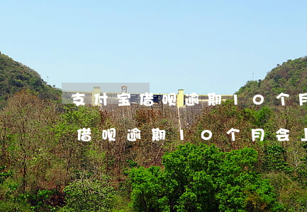 支付宝借呗逾期10个月会上门吗-支付宝借呗逾期10个月会上门吗怎么办