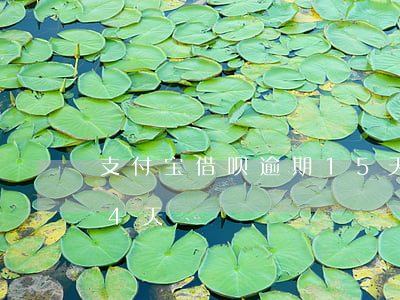支付宝借呗逾期15天还(支付宝借呗逾期14天)