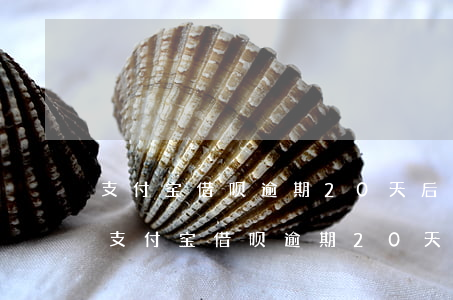 支付宝借呗逾期20天后还清可以再借吗-支付宝借呗逾期20天后还清可以再借吗