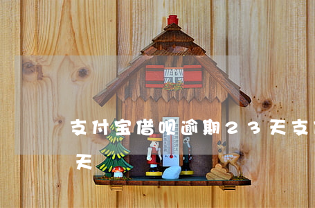 支付宝借呗逾期23天(支付宝借呗逾期了两天)