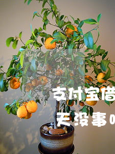 支付宝借呗逾期24个月(支付宝借呗逾期四天没事吧)