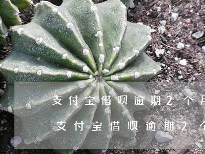 支付宝借呗逾期2个月说要上门是真的吗-支付宝借呗逾期2个月说要上门是真的吗吗