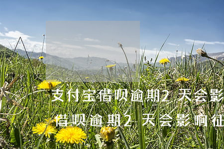 支付宝借呗逾期2天会影响征信吗-支付宝借呗逾期2天会影响征信吗怎么办