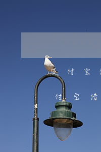 支付宝借呗逾期3000多三年会怎样-支付宝借呗逾期3000多三年会怎样处理