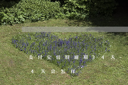 支付宝借呗逾期34天-支付宝借呗逾期34天会怎样