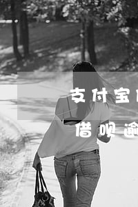 支付宝借呗逾期3万会上门调查吗-支付宝借呗逾期3万会上门调查吗是真的吗