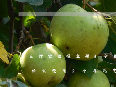 支付宝借呗逾期3个月能坐飞机吗-支付宝借呗逾期2个月还完了能坐飞机吗