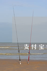 支付宝借呗逾期44天