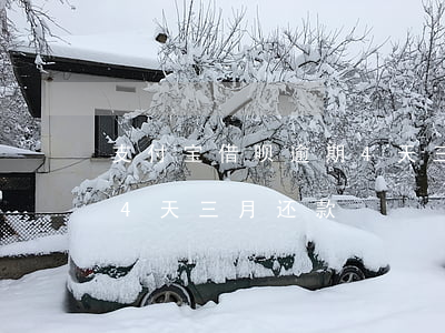 支付宝借呗逾期4天三月-支付宝借呗逾期4天三月还款