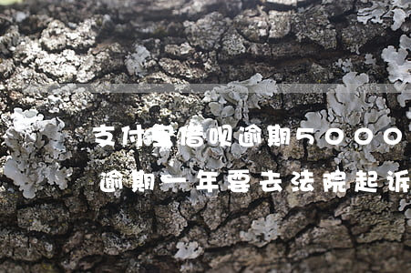 支付宝借呗逾期5000被起诉 支付宝借呗逾期一年,要去法院起诉我
