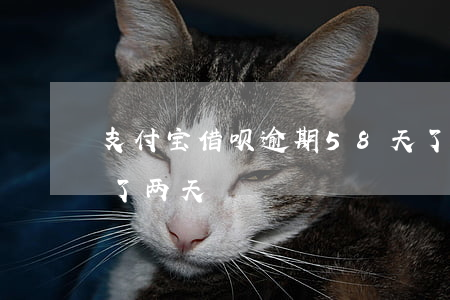 支付宝借呗逾期58天了-支付宝借呗逾期了两天
