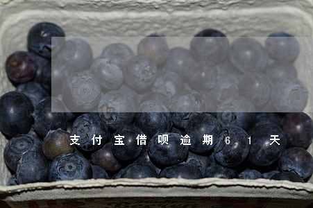 支付宝借呗逾期61天