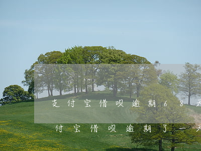 支付宝借呗逾期68天能不能协商(不注意支付宝借呗逾期了一天)