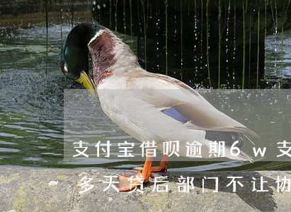 支付宝借呗逾期6w(支付宝借呗逾期600多天贷后部门不让协商了)