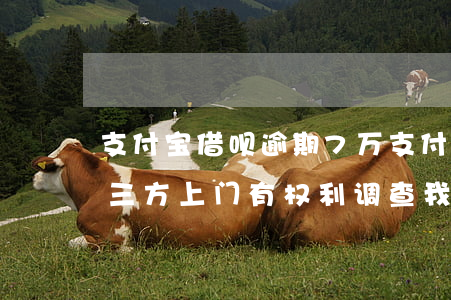 支付宝借呗逾期7万(支付宝借呗逾期7万第三方上门有权利调查我的资产吗?)