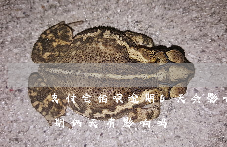 支付宝借呗逾期8天会影响吗(支付宝借呗逾期俩天有影响吗)