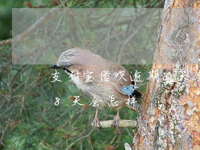 支付宝借呗逾期8天会怎样(支付宝借呗逾期8天会怎样)