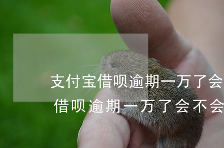 支付宝借呗逾期一万了会不会起诉-支付宝借呗逾期一万了会不会起诉我