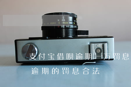 支付宝借呗逾期一万罚息-支付宝花呗借呗逾期的罚息合法