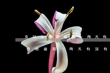 支付宝借呗逾期一两天有什么后果-支付宝借呗逾期一两天有没有事?