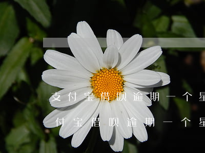 支付宝借呗逾期一个星期还了还能用吗-支付宝借呗逾期一个星期还了还能用吗