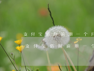 支付宝借呗逾期一个月了被起诉后会怎样-支付宝借呗逾期一个月了被起诉后会怎样处理