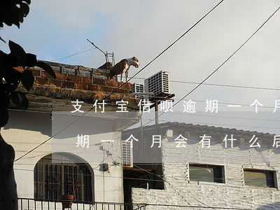 支付宝借呗逾期一个月后果-支付宝借呗逾期一个月会有什么后果