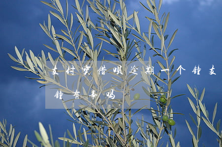 支付宝借呗逾期一个钟(支付宝借呗逾期一分钟有事吗)