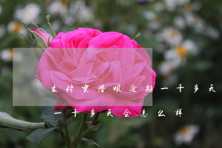 支付宝借呗逾期一千多天-支付宝借呗逾期一千多天会怎么样