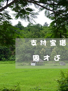 支付宝借呗逾期一周才还(支付宝借呗逾期一周才还)