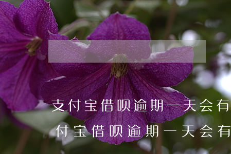 支付宝借呗逾期一天会有什么后果知乎-支付宝借呗逾期一天会有什么后果知乎吗