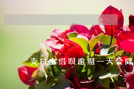 支付宝借呗逾期一天会降多少分-
