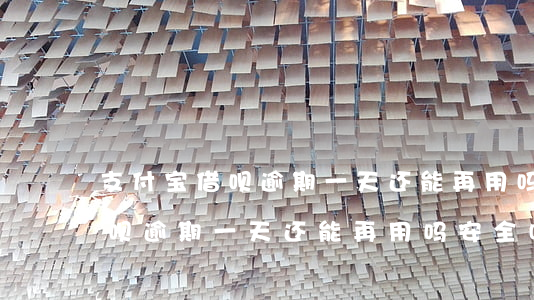 支付宝借呗逾期一天还能再用吗-支付宝借呗逾期一天还能再用吗安全吗