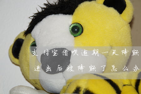 支付宝借呗逾期一天降额(借呗逾期10天,还进去后被降额了,怎么办)