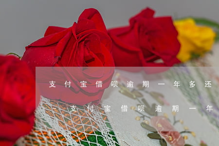 支付宝借呗逾期一年多还清了还可以使用吗-支付宝借呗逾期一年多还清了还可以使用吗安全吗