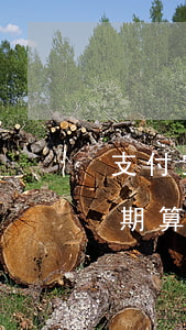 支付宝借呗逾期一年是黑户吗（支付宝借呗逾期算不算黑名单）