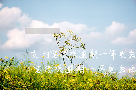 支付宝借呗逾期一年要去法院起诉我-支付宝借呗逾期一年要去法院起诉我怎么办