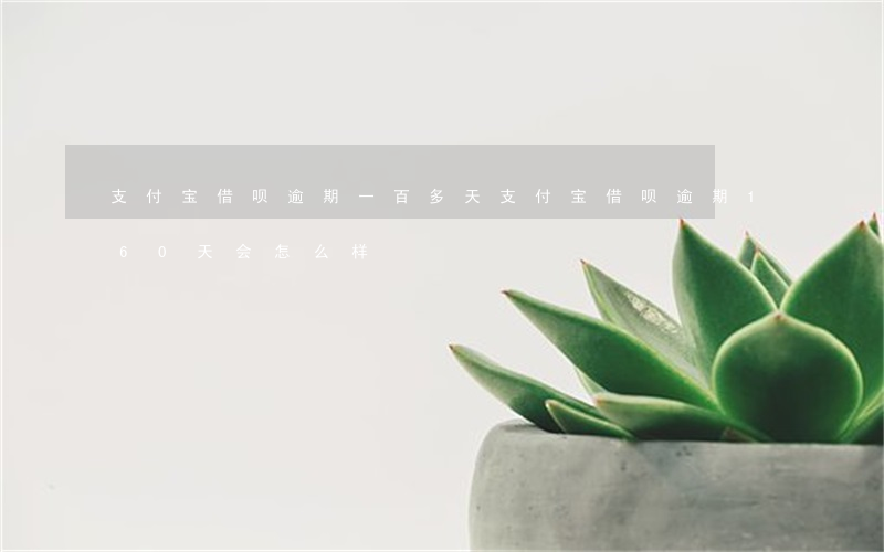 支付宝借呗逾期一百多天(支付宝借呗逾期160天会怎么样)