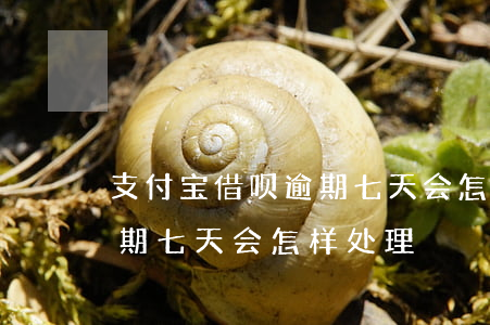 支付宝借呗逾期七天会怎样-支付宝借呗逾期七天会怎样处理