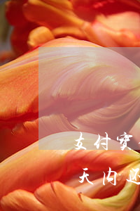 支付宝借呗逾期七天内-支付宝借呗逾期七天内还款