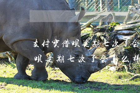 支付宝借呗逾期七次了会怎么样-支付宝借呗逾期七次了会怎么样吗