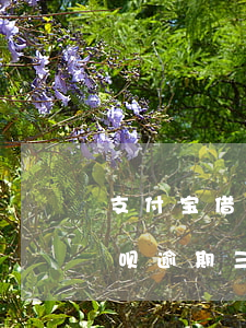 支付宝借呗逾期三个月了没钱还-支付宝借呗逾期三个月了没钱还怎么办