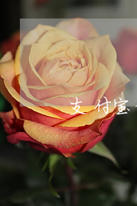 支付宝借呗逾期三个月会上征信吗