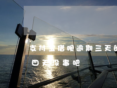 支付宝借呗逾期三天的图片(支付宝借呗逾期四天没事吧)